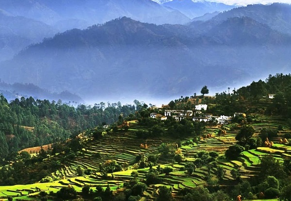 Ranikhet