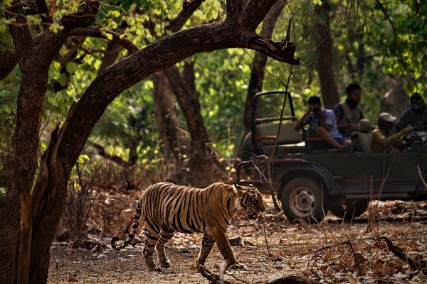Corbet National Park