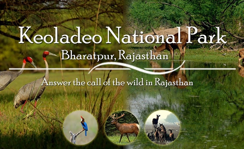 Keoladeo National Park
